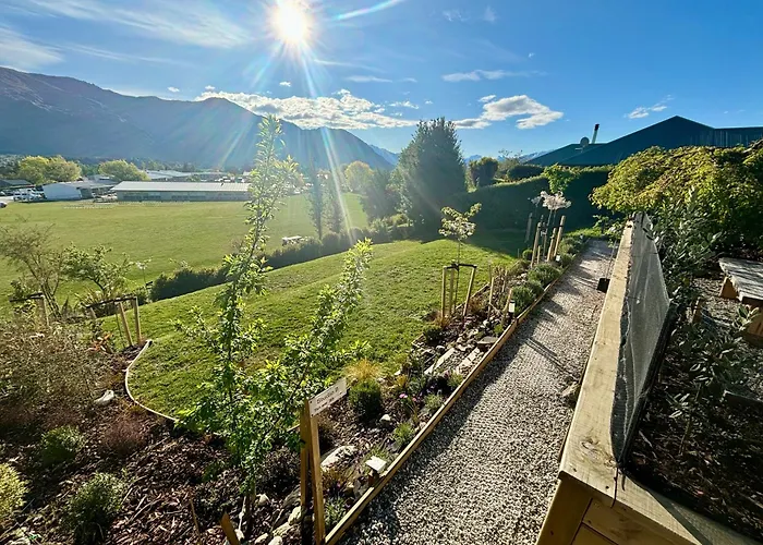 C With Need Wanaka